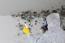 Mold Documentation for Insurance Claims in Walworth, WI